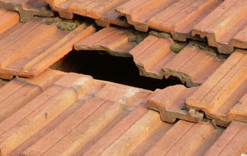 roof repair Brynderwen, Powys
